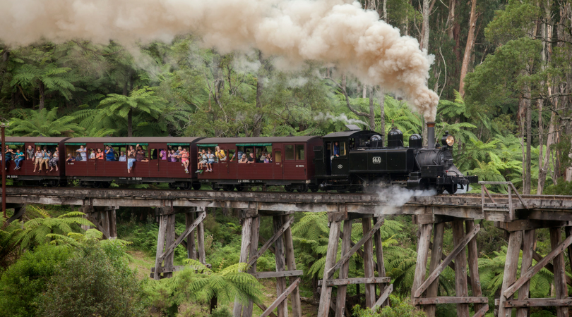 philip island nature parks penguin parade puffy billy geritage steam train sovereign hill goldfields exciting outdoor activities melbourne best australia