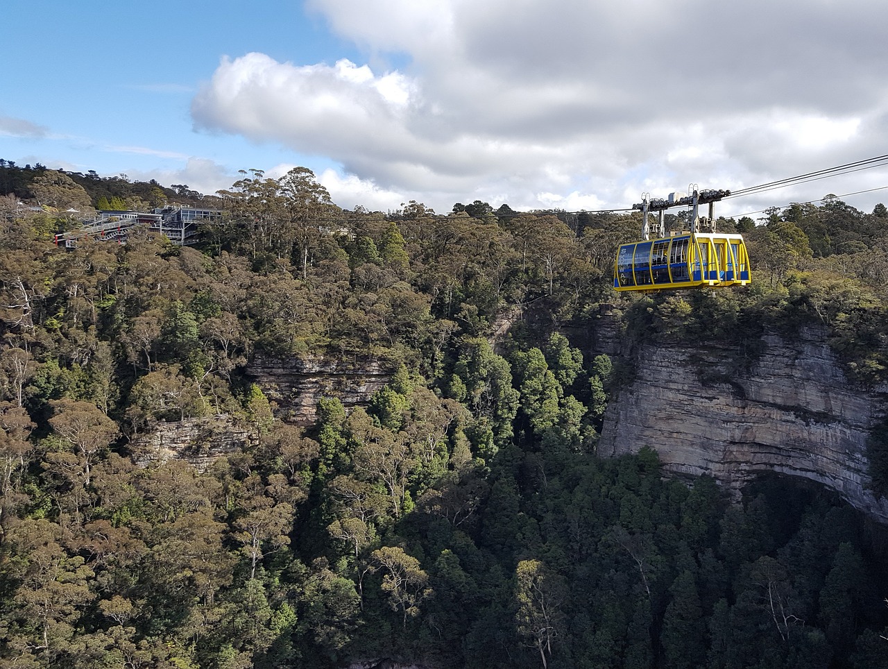 Sydney day tour harbour dinner cruise blue mountains nature wildlife