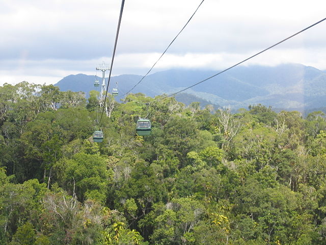 skyrail cairns rainforest cableway tropical rainforests great barrier reef history facts schedules pricing