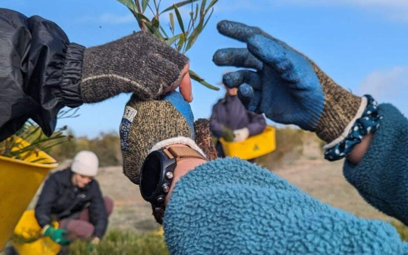 Tree planting for a sustainable future with Carbon Positive Australia