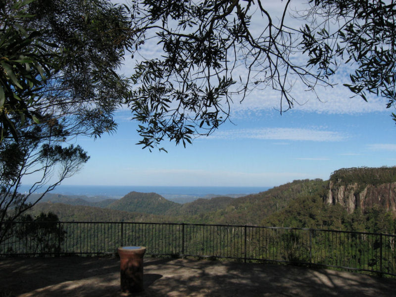 gold coast tours group springbrook national park walking tracks guided walks picnic and day areas purling brook falls burleigh head