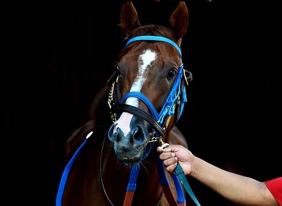  melbourne cup 2018 day winner dates date weekend public holiday flemington event lexus carnival november kennery oaks seppelt wines stakes 2018 favourites