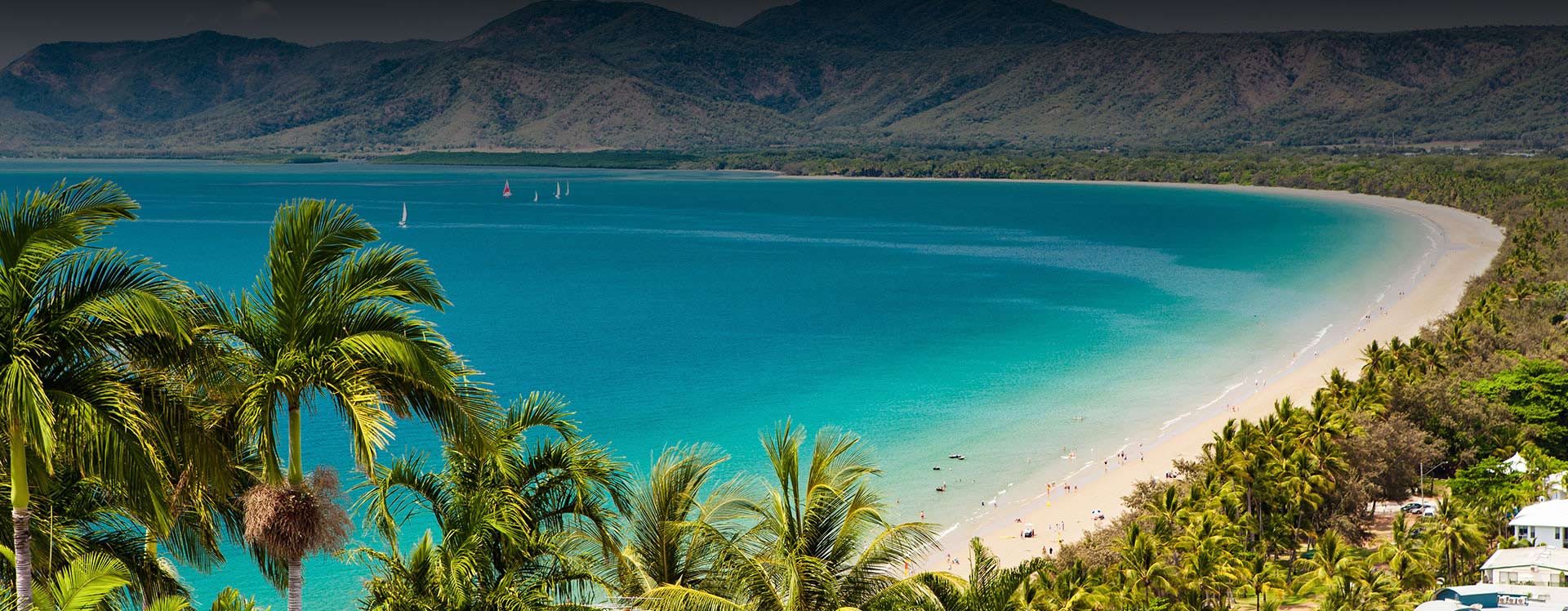 Self Drive Bus Hire Cairns Dry Bus Hire Cairns self-drive-bus-hire-cairns-dry-bus-hire-cairns